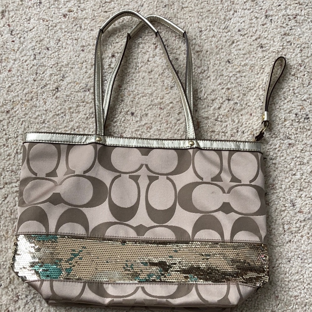 Golden Coach sequins stripe bag